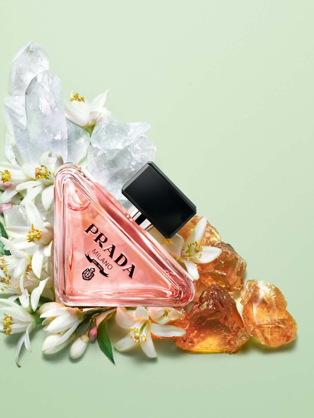 Paradoxe Recarga by Perfumerías Padilla