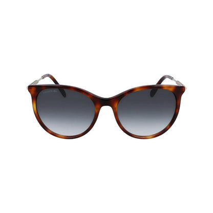 Lacoste Brown Acetate Sunglasses by Lacoste