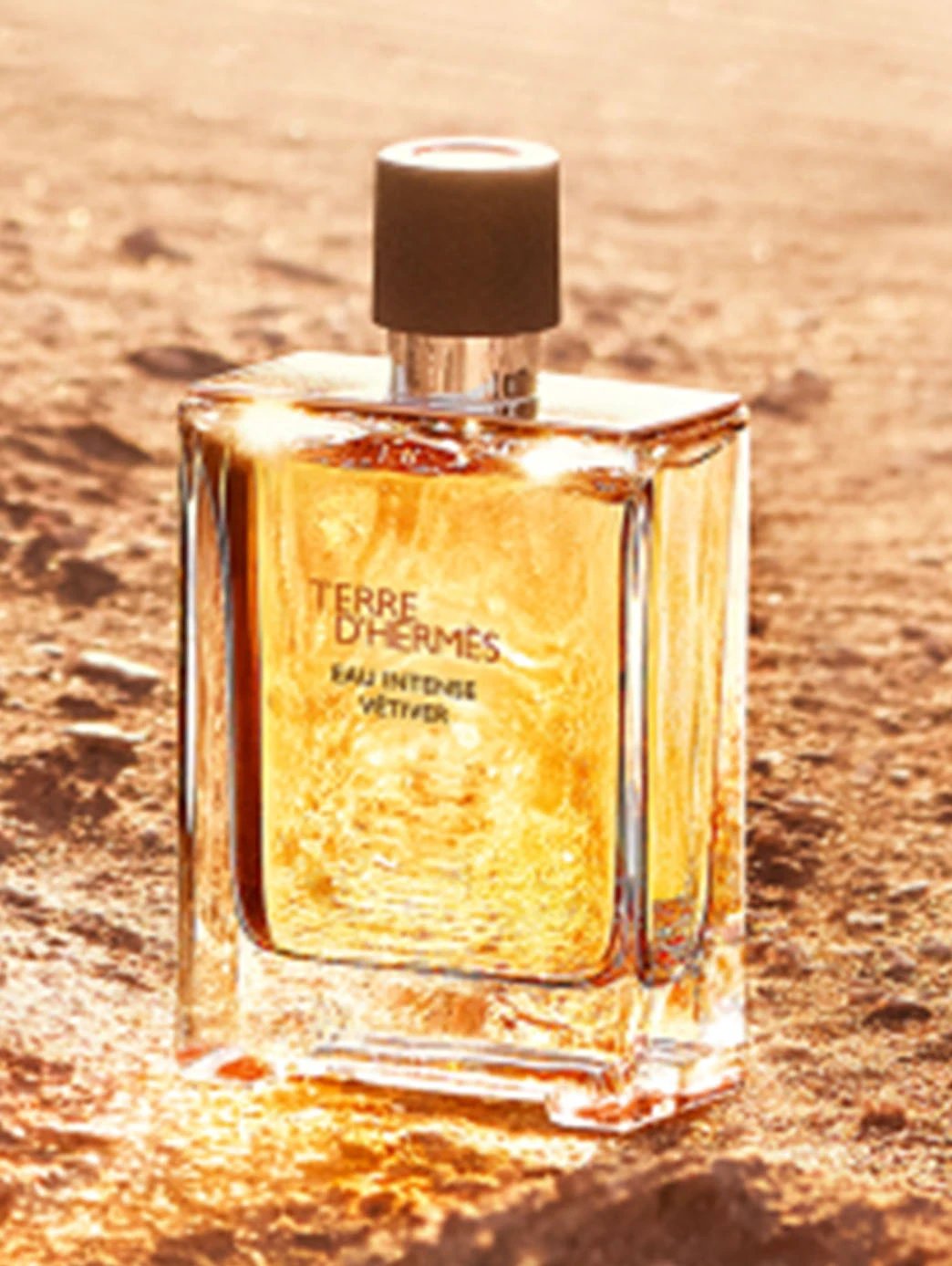 Terre Intense Vétiver by Perfumerías Padilla