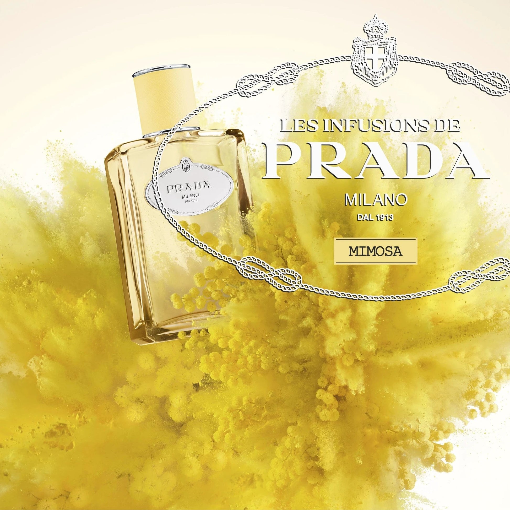 Infusion De Mimosa by Perfumerías Padilla