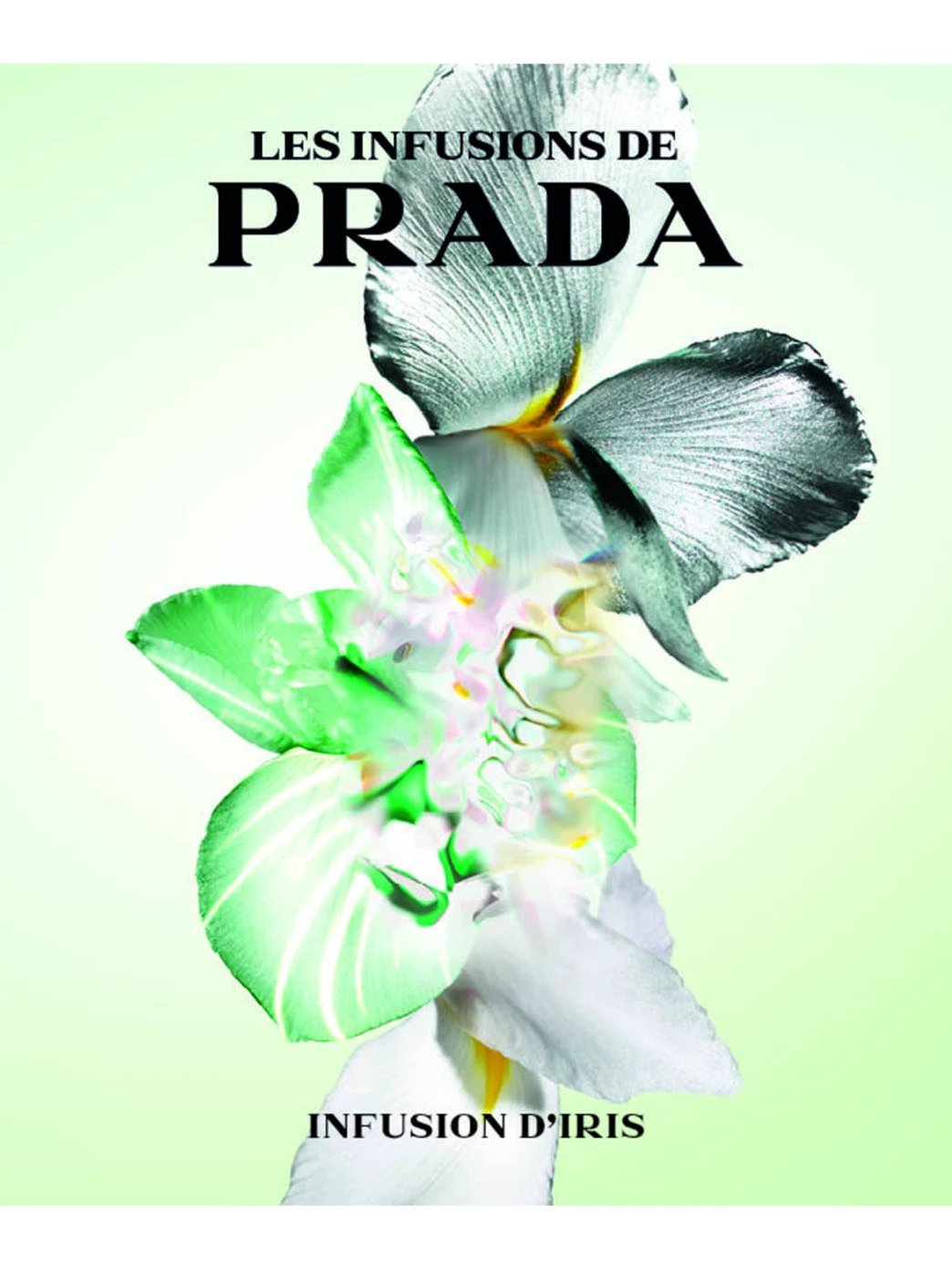 Prada Infusion D'Iris by Perfumerías Padilla