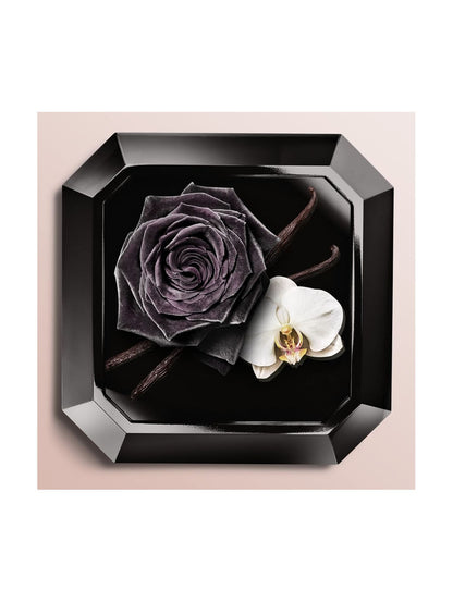 La Nuit Trésor by Perfumerías Padilla