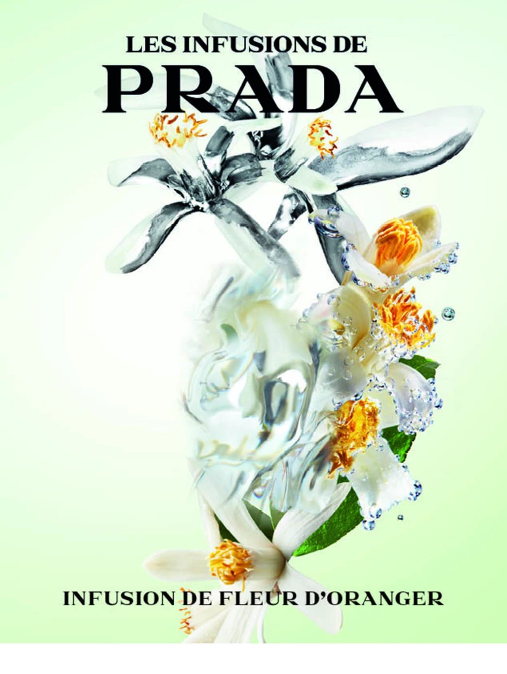 Prada Infusion De Fleur D'Oranger by Perfumerías Padilla
