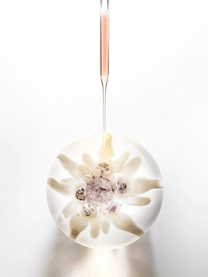 Pdgy Cellglow Radiant Reg Cr Soft by Perfumerías Padilla