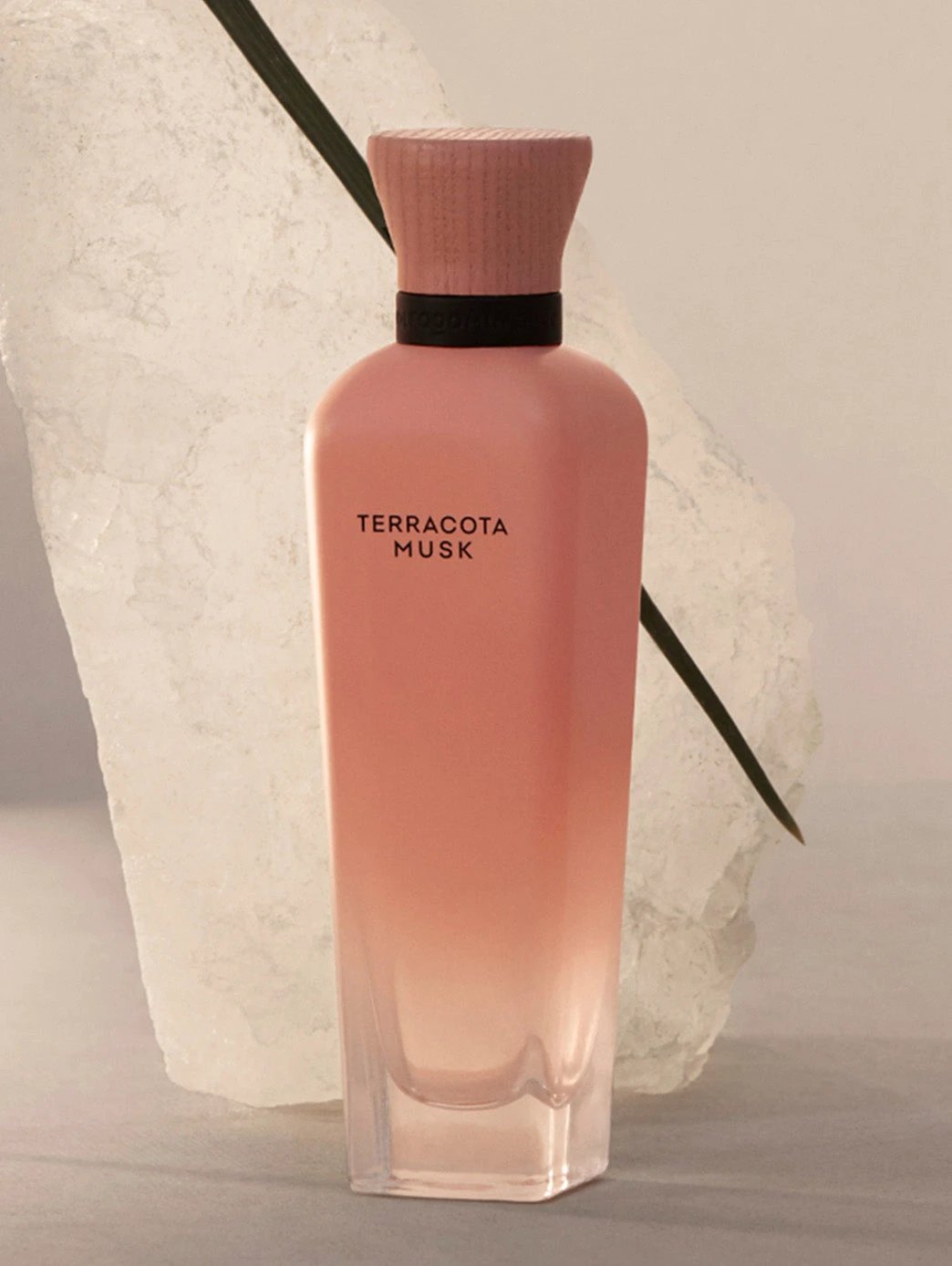 Terracota Musk by Perfumerías Padilla