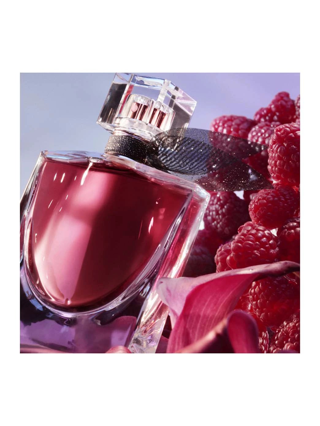 La Vie Est Belle L'Elixir