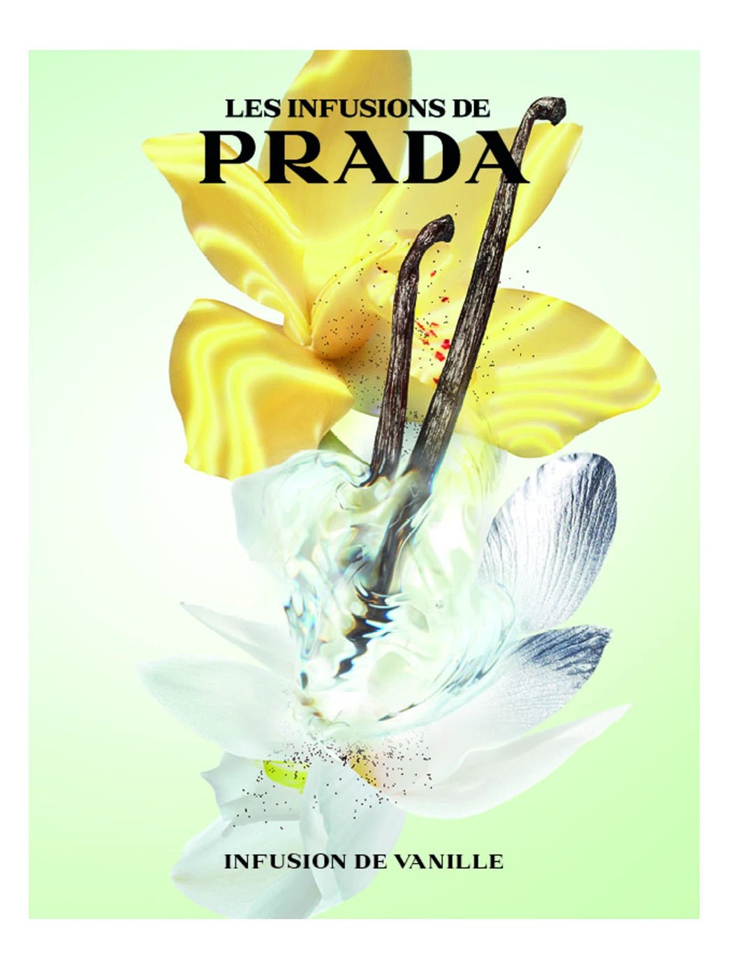 Prada Infusion De Vanille Parfum Ambré Boisé Pour Femme by Perfumerías Padilla