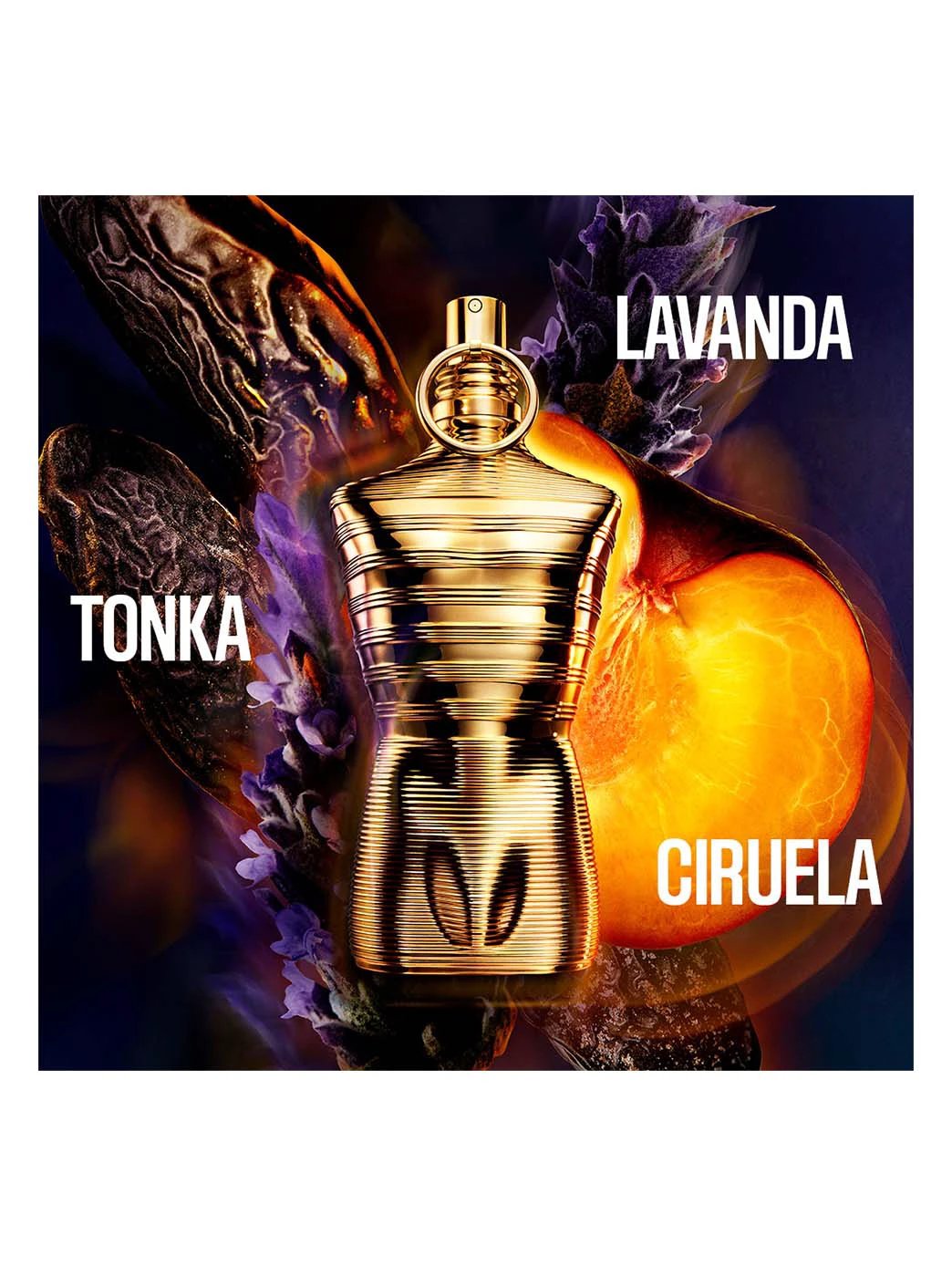 Le Male Elixir Absolu by Perfumerías Padilla