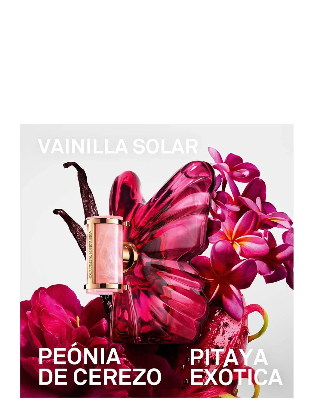 La Bomba Refill by Perfumerías Padilla