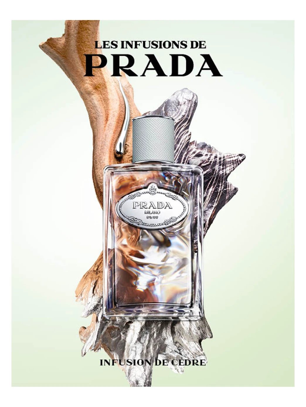 Prada Infusion De Cedre by Perfumerías Padilla