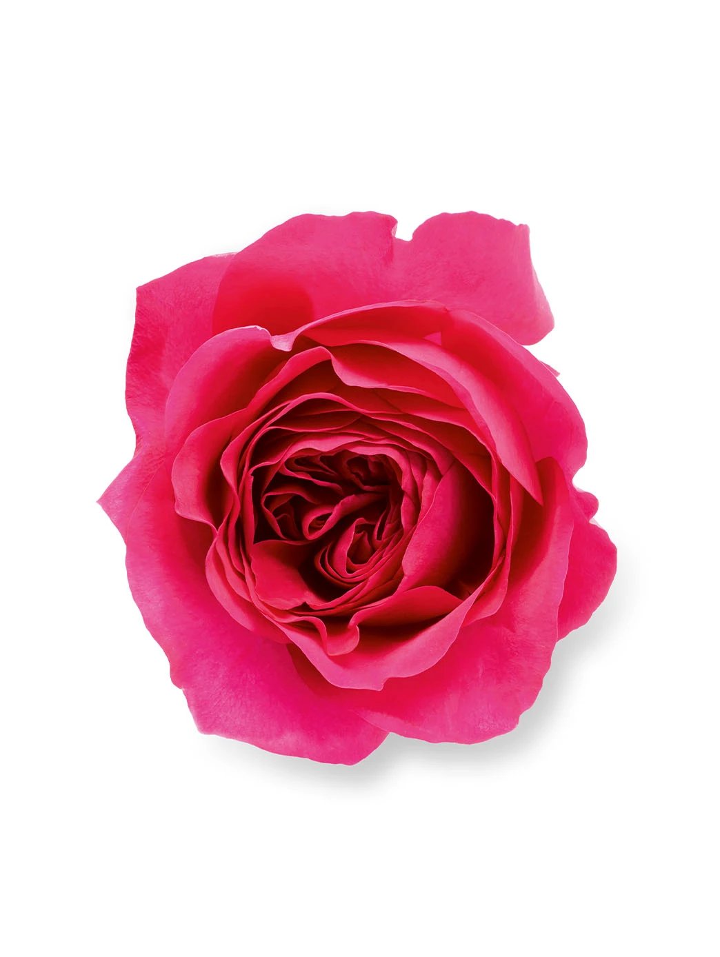 Because It's You Eau de Parfum Femme Floral Fruité Emporio Armani