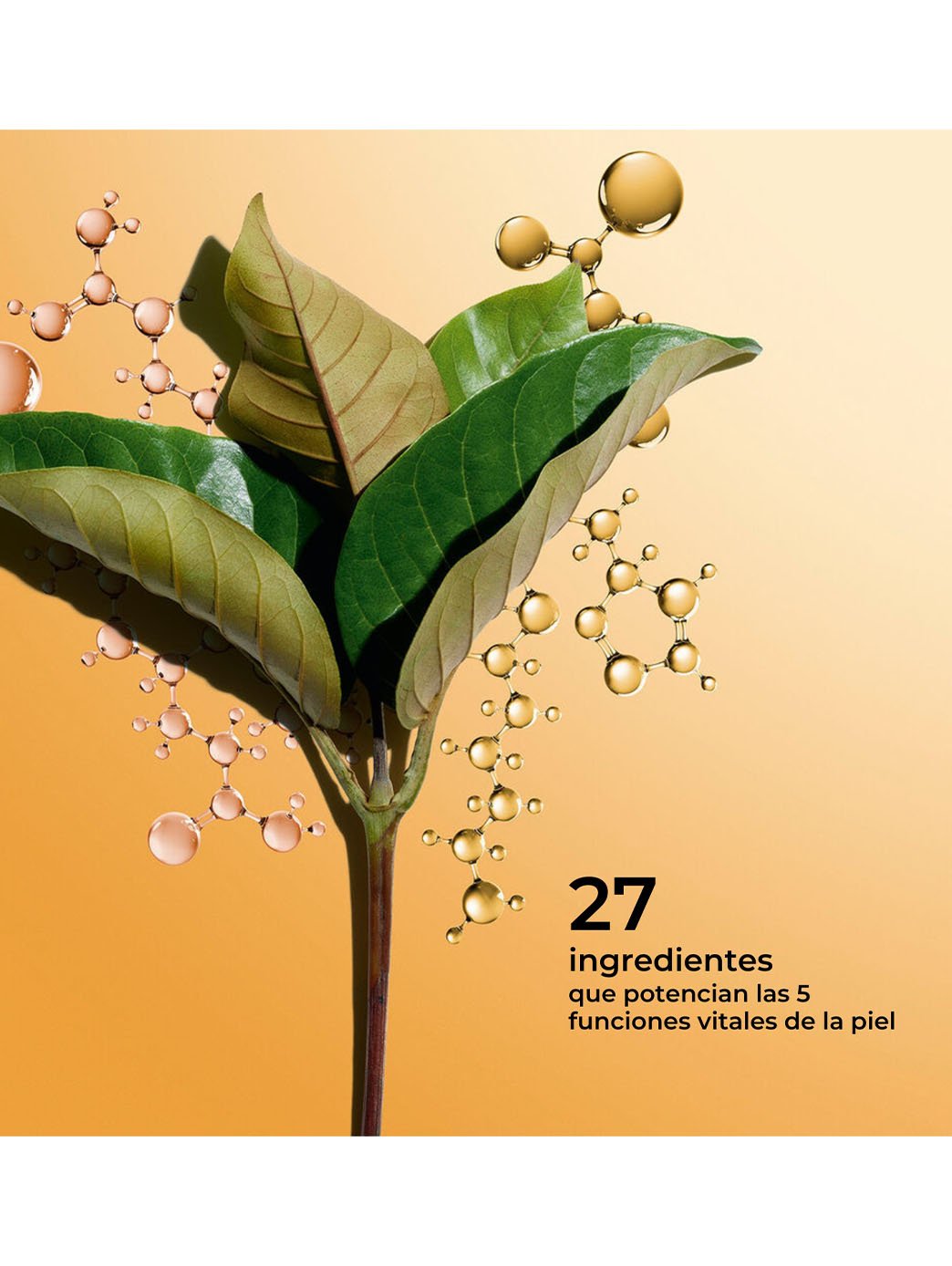 Clarins – Double Sérum Nouvelle Génération Épigénétique | 27 Actifs | 30ml, 50ml & 75ml - HBPS Beauty & Fashion