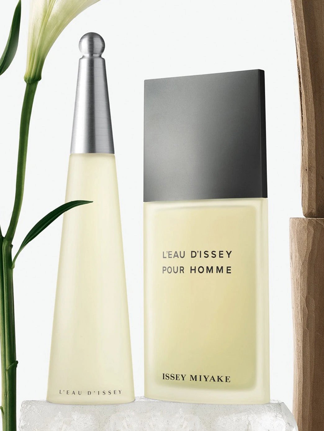 L'Eau d'Issey by Perfumerías Padilla