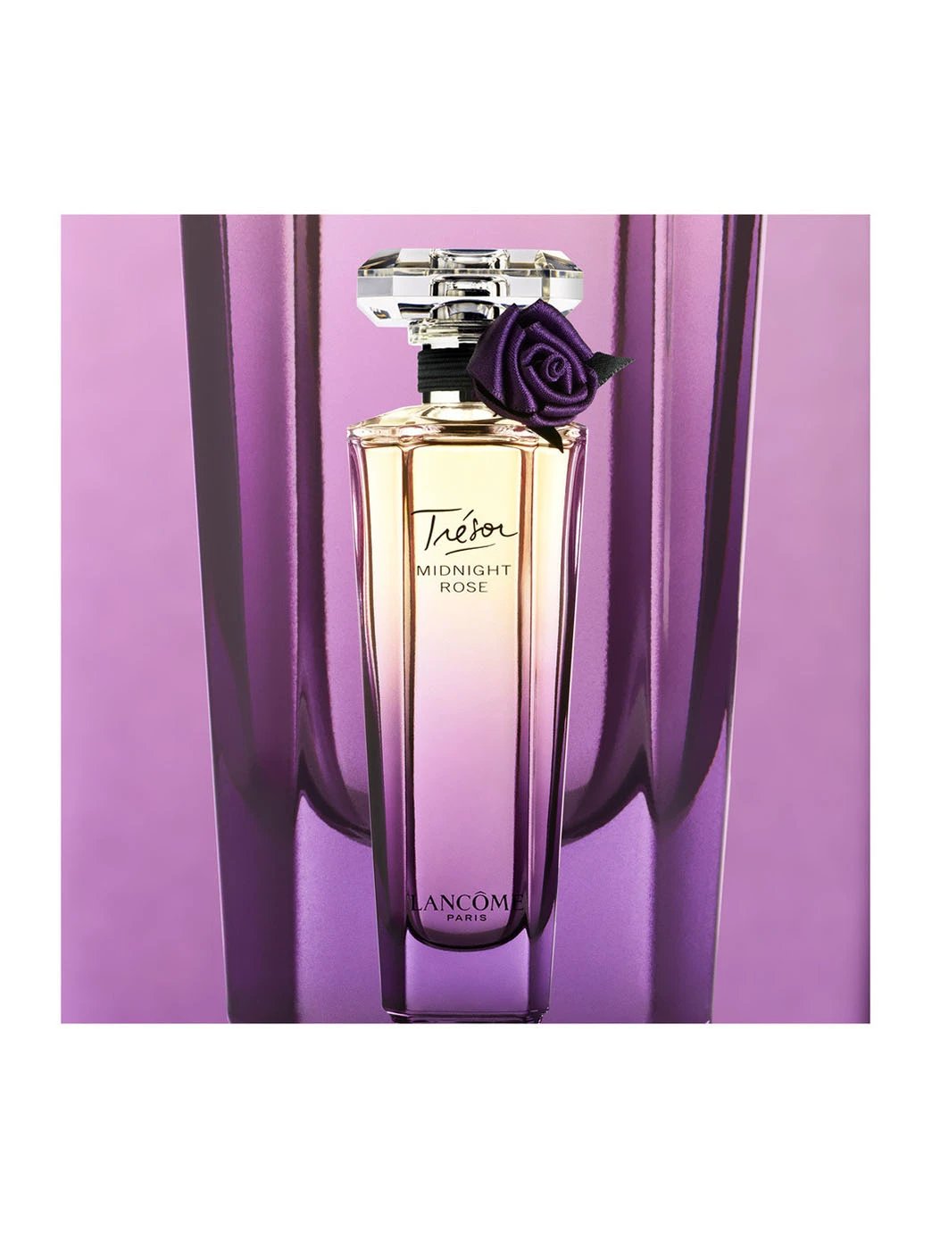 Trésor Midnight Rose Parfum Femme Lancôme Jasmin Pivoine Groseille Noire Framboise by Perfumerías Padilla