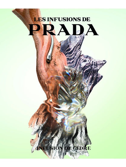 Prada Infusion De Cedre by Perfumerías Padilla