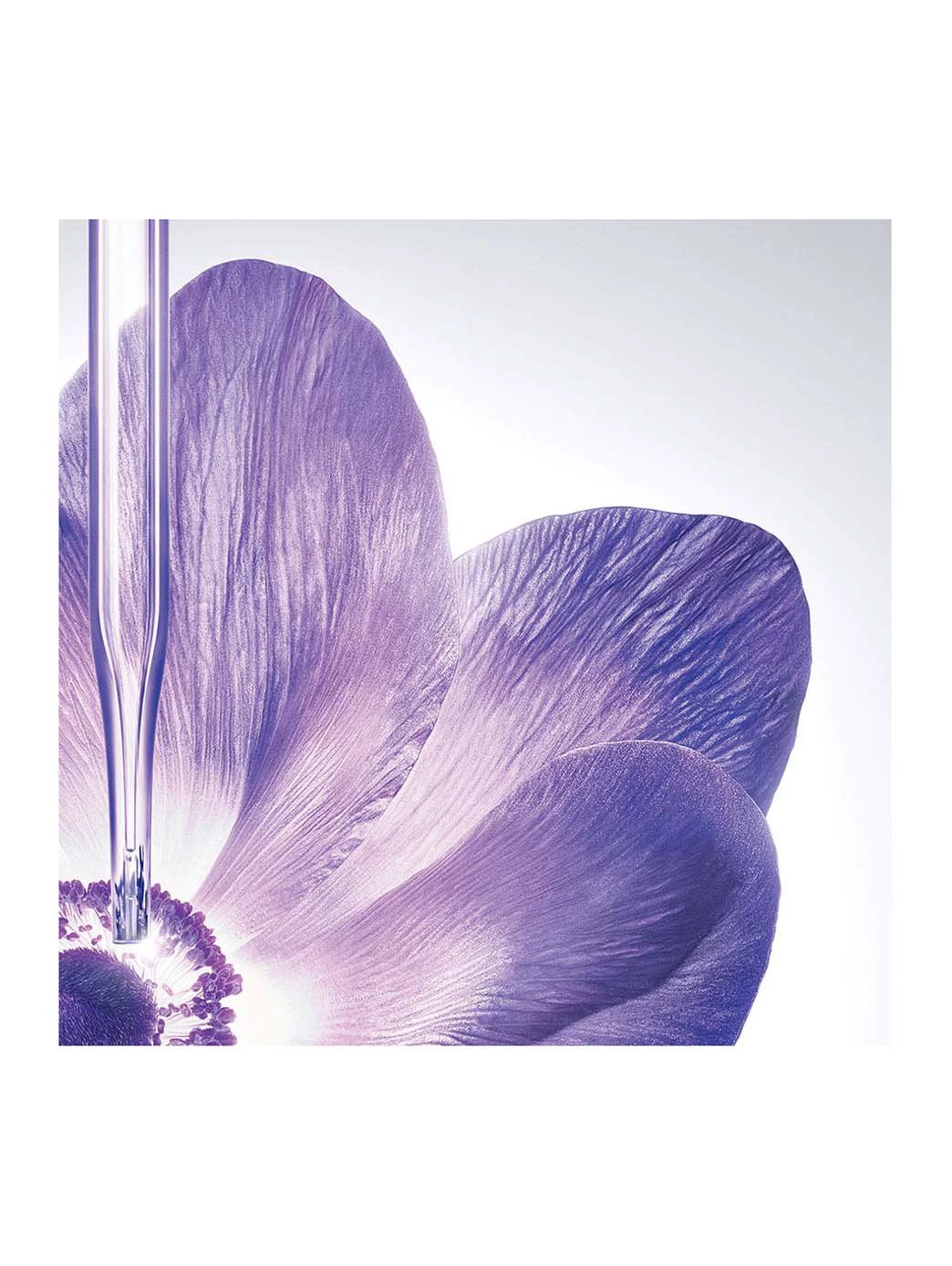 Rénergie Multi-Lift by Perfumerías Padilla