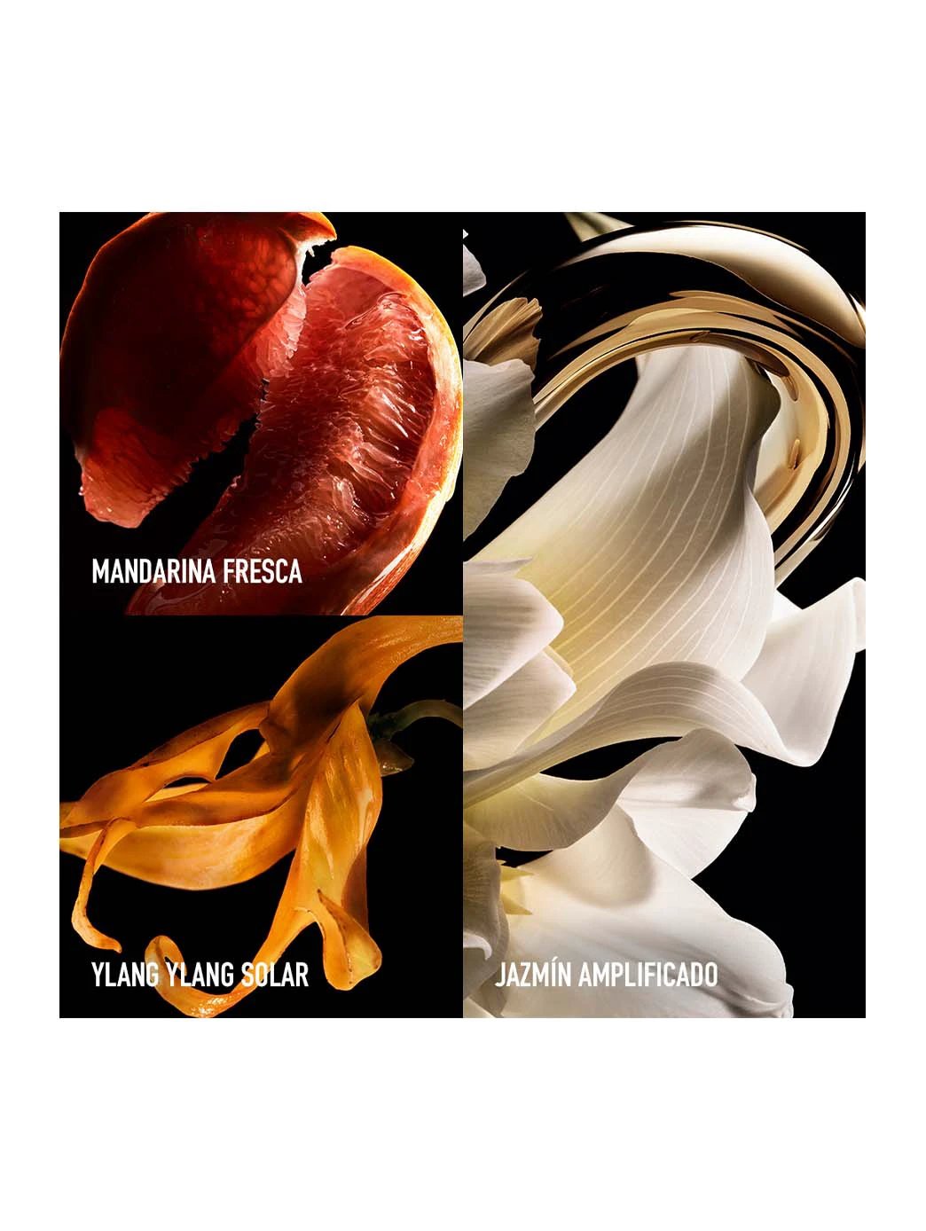 Million Gold For Her Pure Jasmine by Perfumerías Padilla