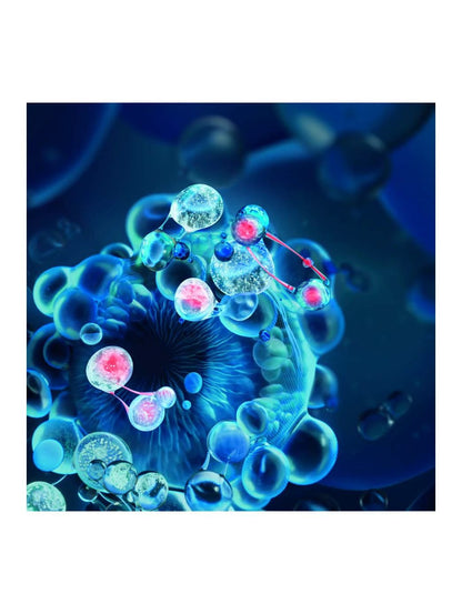 Blue Peptides Eyes & Lips Reshaper by Perfumerías Padilla