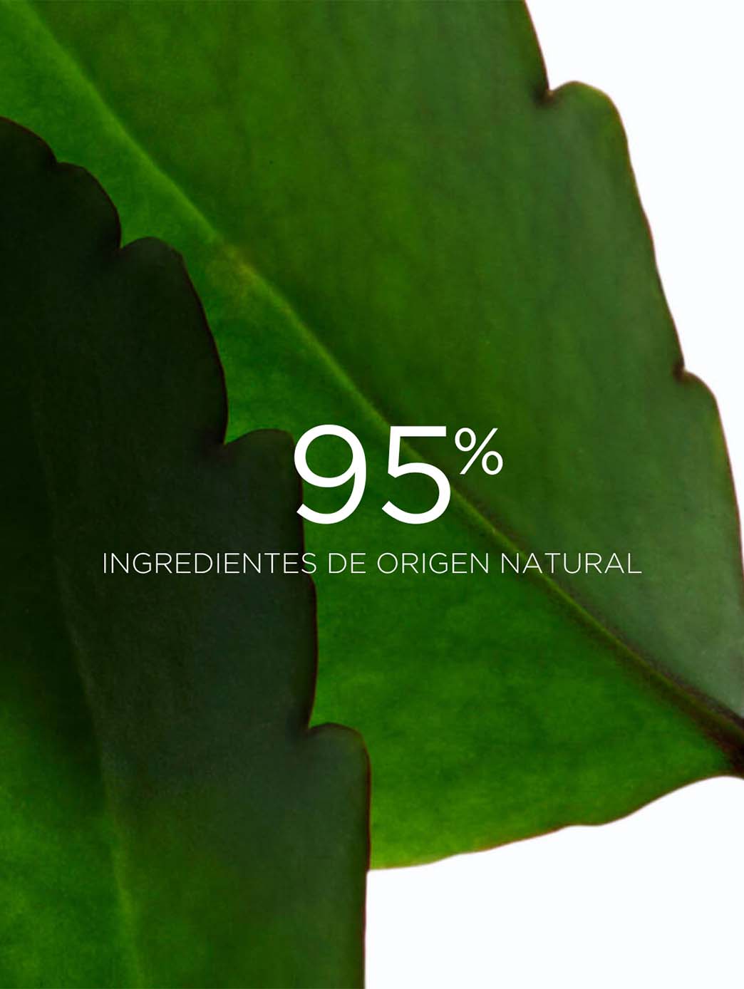 Exfoliante Fresh Scrub - HBPS Beauty & Fashion