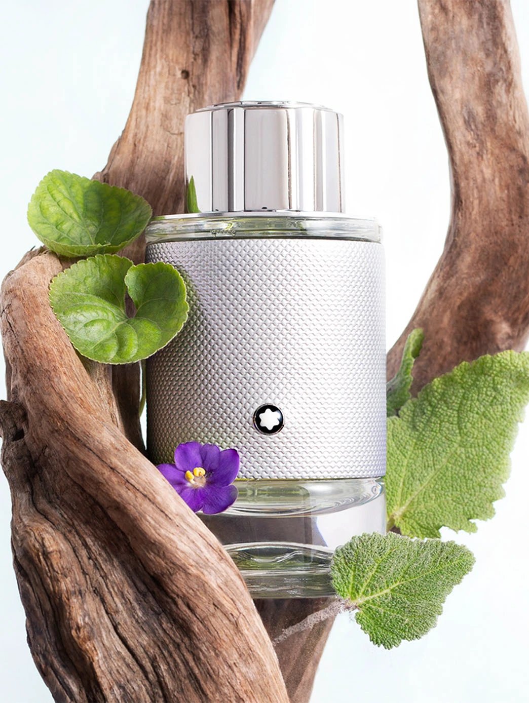 Explorer Platinum by Perfumerías Padilla