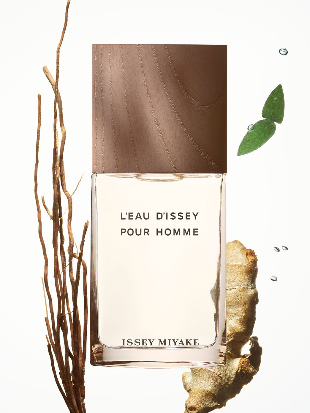 L'Eau D'Issey Vétiver by Perfumerías Padilla