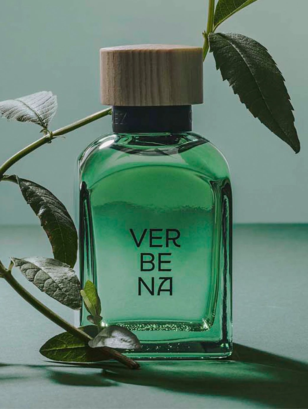 Verbena Limited Edition Hombre by Perfumerías Padilla