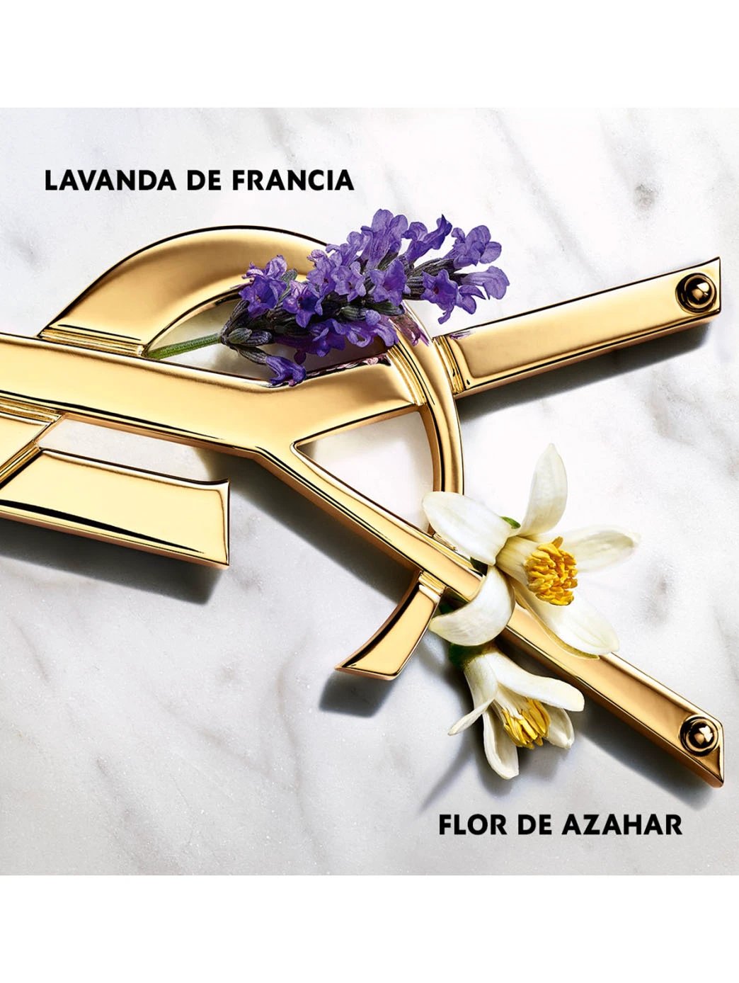 Libre Eau de Parfum Yves Saint Laurent Florale Lavande Fleur d Oranger Marocaine
