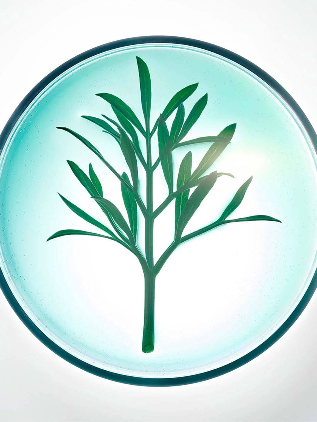 Powercell Night Rescue Crema De Noche by Perfumerías Padilla