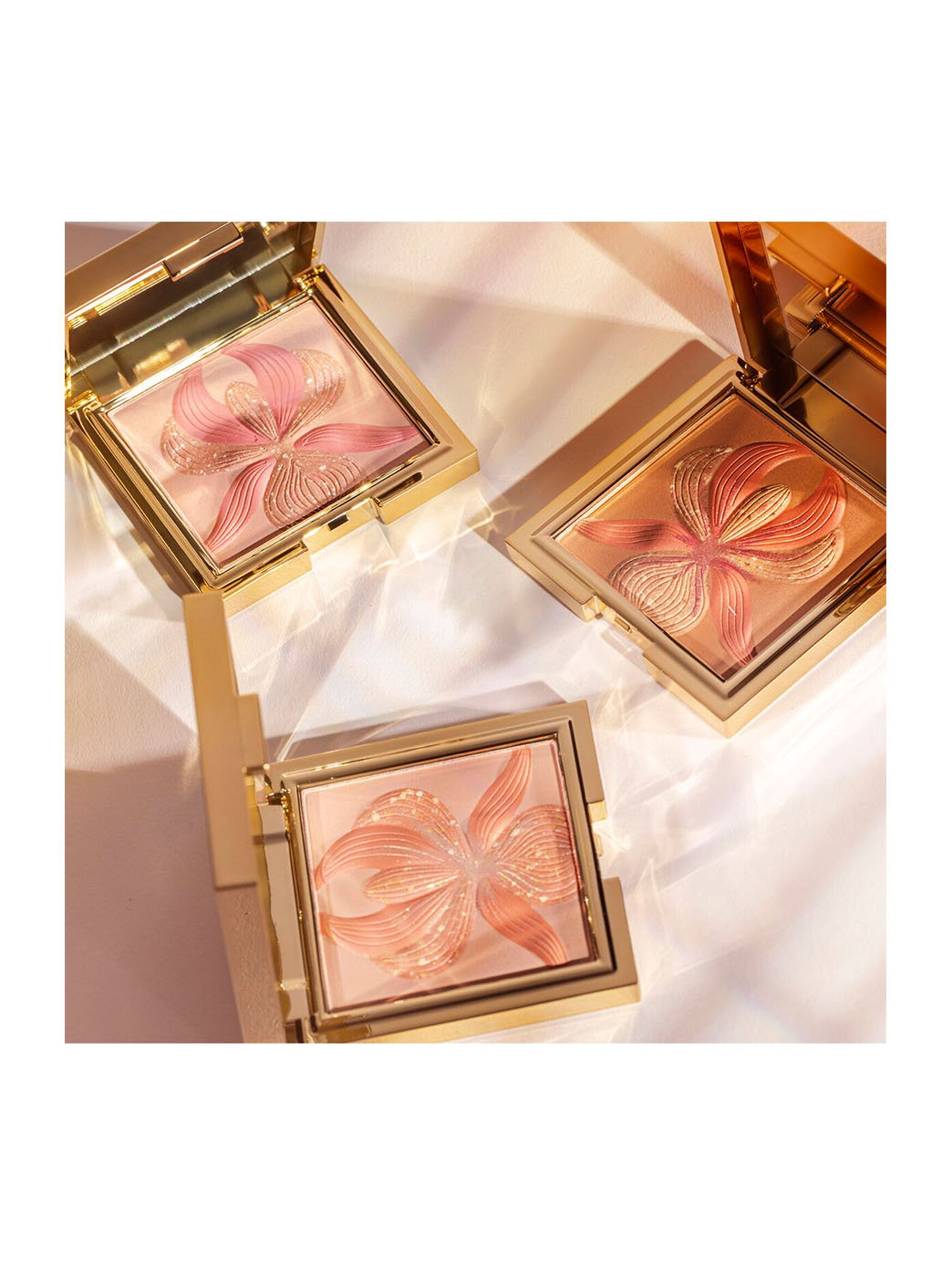 L'Orchidée - HBPS Beauty & Fashion