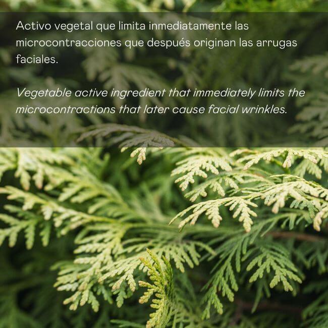 Sérum Facial Antiarrugas de Expresión – Acción Intensiva con Retinol - 30 ml