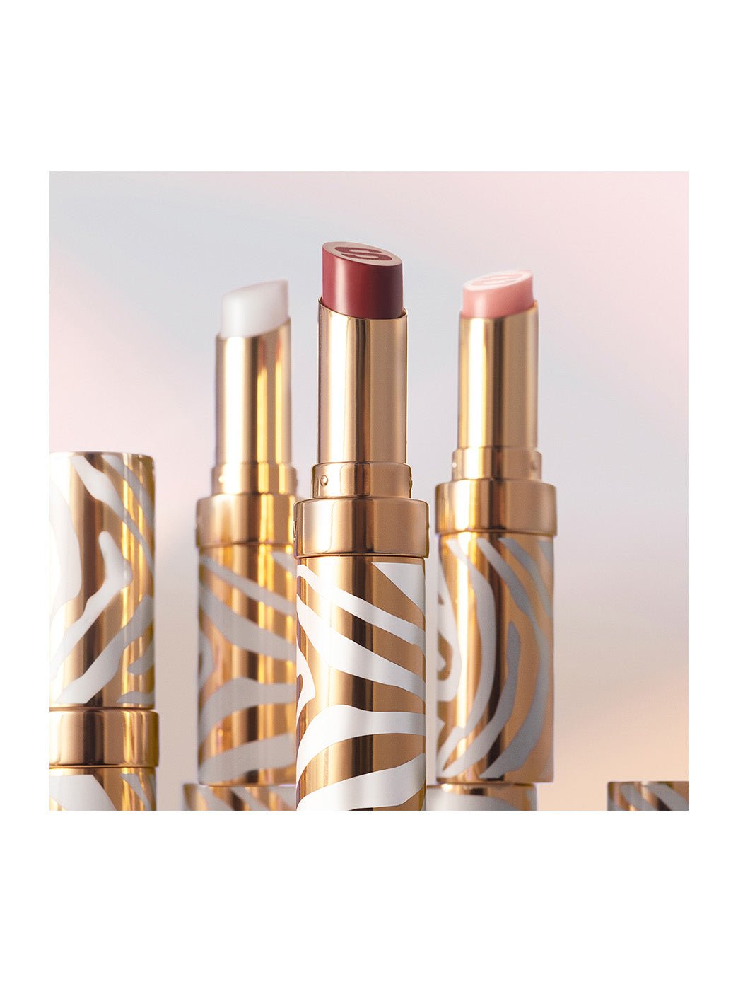 Sisley Phyto-Lip Balm – Baume Lèvres Hydratant & Repulpant - HBPS Beauty & Fashion