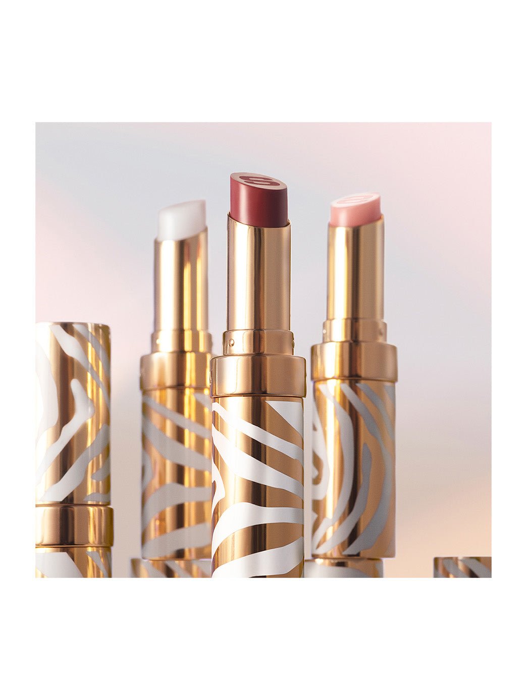 Sisley Phyto-Lip Balm – Baume Lèvres Hydratant & Repulpant - HBPS Beauty & Fashion